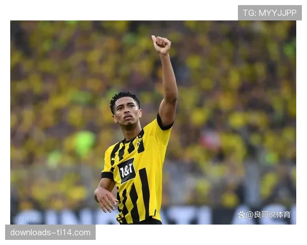 德国警方通报：成功挫败一起针对德甲比赛的网络攻击计划